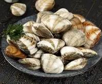 贝林厄姆赛点兑现，达拉斯独行侠淘汰那不勒斯晋级四强，主帅激动落泪(雷速体育在线直播)